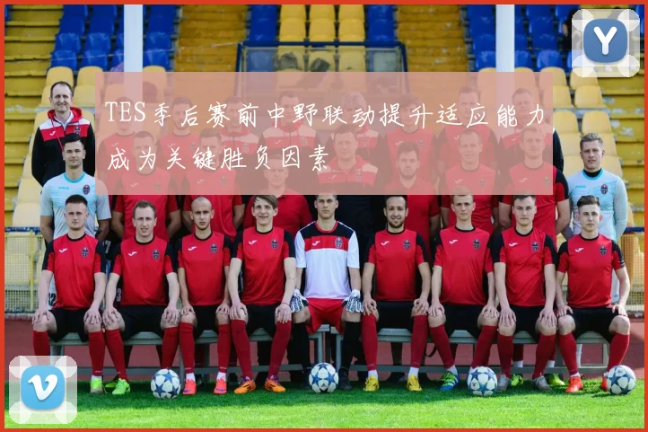 TES季后赛前中野联动提升适应能力成为关键胜负因素